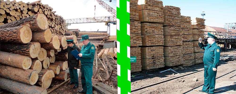 Экспорт древесины и лесоматериалов ЖДПП Гуково Ростовской таможни и Таганрогский таможенный пост Таганрогской таможни