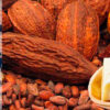 Таможенное оформление какао-продуктов - ставки